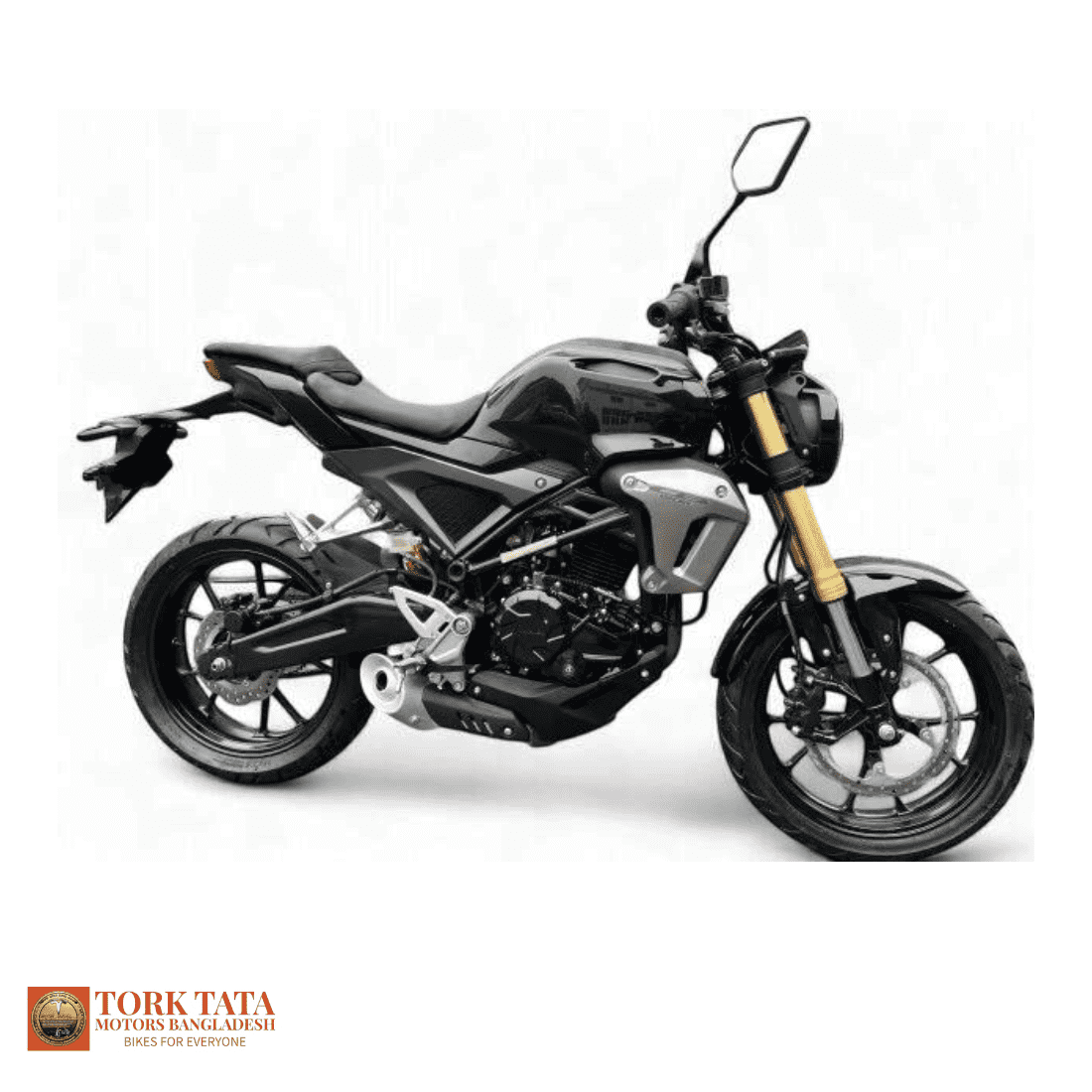 Tata GT Motion 135cc Motorcycle - Image 2